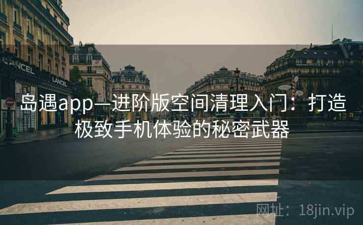 岛遇app—进阶版空间清理入门：打造极致手机体验的秘密武器