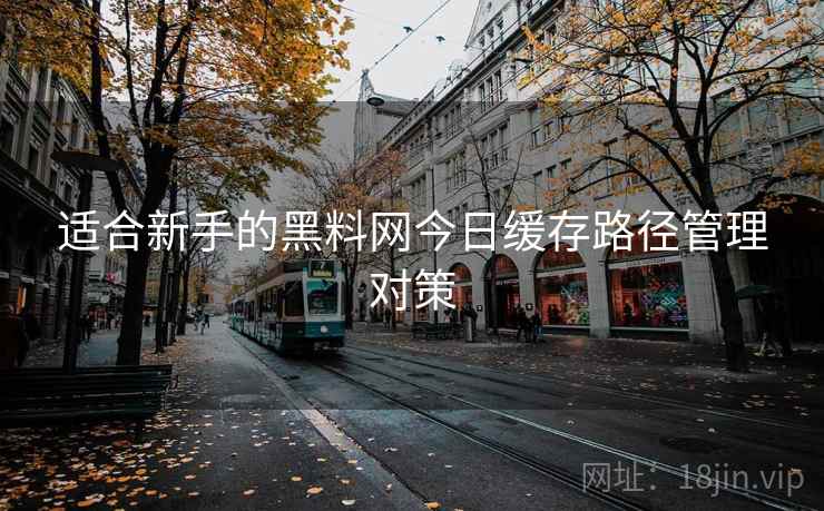 适合新手的黑料网今日缓存路径管理对策