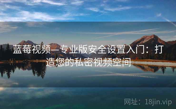 蓝莓视频—专业版安全设置入门：打造您的私密视频空间