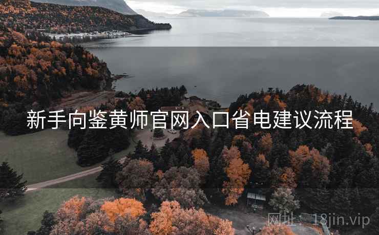 新手向鉴黄师官网入口省电建议流程