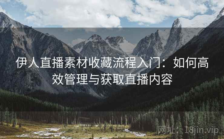 伊人直播素材收藏流程入门：如何高效管理与获取直播内容