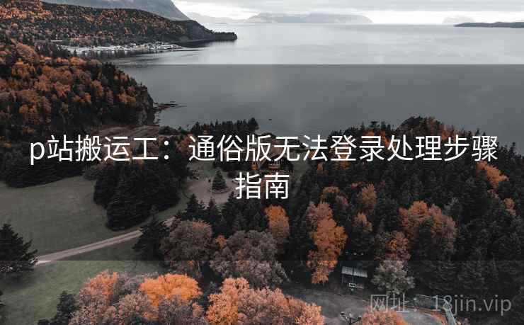 p站搬运工：通俗版无法登录处理步骤指南