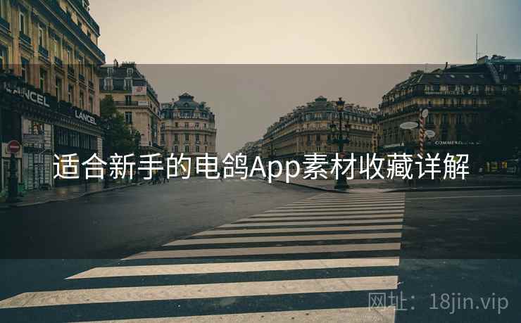 适合新手的电鸽App素材收藏详解 适合新手的电鸽App素材收藏详解